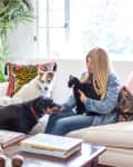 Woman sitting on a white sofa with two dogs and a cat, surrounded by plants and colorful pillows.