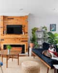Living room with wooden fireplace, TV, blue sofas, plants, and a dog on the couch.
