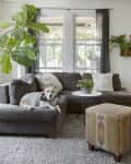 Gray sectional sofa with a dog, potted plants, and a patterned ottoman in a bright living room with wooden door.