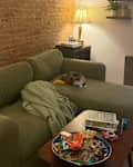 Cat laying on Wanda sofa bed in living room.
