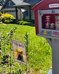 Dog house filled with treats and canned food.