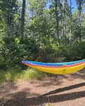 Colorful hammock strung between trees in a sunlit forest clearing.