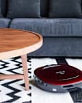 Robot vacuum on a black and white zigzag rug near a wooden coffee table and gray sofa with a potted plant.
