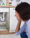 young Woman Looking At Mold In Cabinet Area In Kitchen