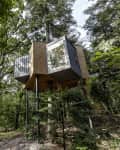 Modern treehouse with large window, elevated on stilts, surrounded by lush forest greenery.