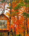 Treehouse with large windows surrounded by vibrant autumn foliage in a forest setting.