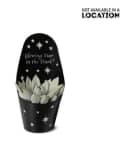 Succulent plant in black pot with "Glowing Star in the Dark" text and star pattern.