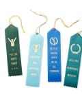 Four humorous award ribbons with phrases like "I put on pants today" and "Adulting honorable mention."