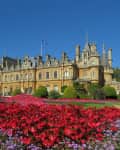 Colorful flowers in the gardens of Waddesdon Manor House in England