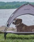 Dog resting on a raised pet bed with canopy by a lake, grassy area in the foreground.