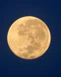 Full moon against a deep blue night sky.