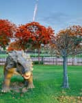 Dinosaur statue on green lawn with vibrant orange trees and a road in the background.