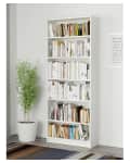 Tall white bookshelf filled with assorted books next to a potted plant in a modern room.