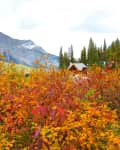 Cabin surrounded by vibrant autumn foliage with mountains in the background.
