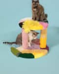 Two cats on a colorful, multi-level cat tree with pastel shaggy textures.