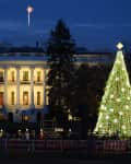 White House illuminated at night with a large decorated Christmas tree in the foreground and people gathered nearby.