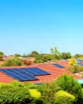 Rooftops with solar panels surrounded by lush green trees under a clear blue sky.