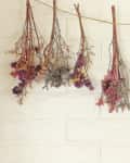 Dried flowers in various colors hanging on a string against a tiled wall.