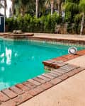 Brick-lined swimming pool with a blue shed, surrounded by palm trees and greenery.