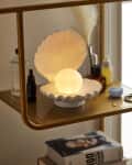 Shell-shaped lamp with glowing orb on a shelf, surrounded by bottles, a book, and decorative items.