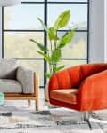Modern living room with a gray sofa, orange chair, green ottoman, and a large plant by a window.