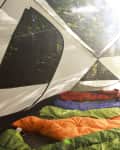 Sleeping bags in a sunlit tent with mesh windows, surrounded by trees.
