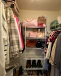Purses and shoes organized in closet.
