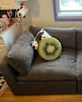 Cozy gray sofa with three decorative pillows: a kiwi slice, a cow print, and a fluffy white pillow.