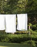 Four white towels hanging on a clothesline in a lush garden setting.