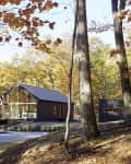 Modern cabin with large windows surrounded by autumn trees in a forest setting.