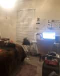 Cozy bedroom with a blue headboard, leopard print bedding, desk with computer, and a cheetah wall art.
