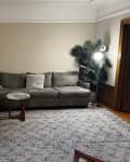 Gray sectional sofa in a living room with a patterned rug, small round table, and tall floor lamp beside a potted plant.