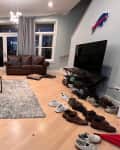Messy living room with leather sofas around.