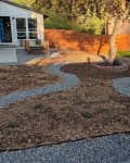 Mulched path in yard with grass ripped out.