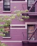 fire escape new york purple