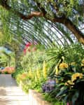 Lush greenhouse walkway with diverse plants, colorful flowers, and arched glass ceiling.