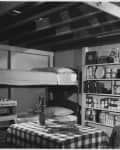fallout shelter
