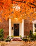 Brick house with black door, white trim, and two bay windows, framed by vibrant orange autumn leaves.