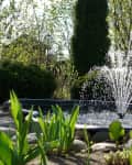 Garden fountain with water jets surrounded by green plants and trees.