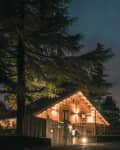 A cozy cabin with string lights under a large tree at night.