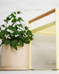 yellow kitchen shelf