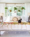 Bohemian bedroom with a black cat on a colorful bedspread, hanging plants, and decorative lamps.