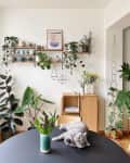 String shelves in Nelson De Coninck's home