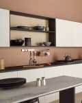 Behr's Canyon Dusk 2021 Color of the Year in a Kitchen