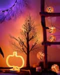 Halloween-themed decor with pumpkin string lights, a glowing pumpkin lamp, and a bare tree on a wooden ladder.