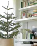 small xmas tree on a stool in front of a bookshelf