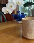 Bath & Body Works Santal + Amber 4-Wick Candle on table with orchid plant in background