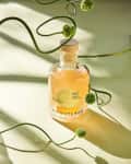 Brightland Zeal Ramp Vinegar bottle with green decorative stems on a light surface.