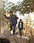 Brother and sister kids walking along a fallen tree in a forest hiking