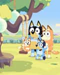 Bluey Season 3 Episode: The Sign